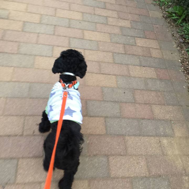 Cc4fec6d 3382 4a64 90fc 1aa20de1784d