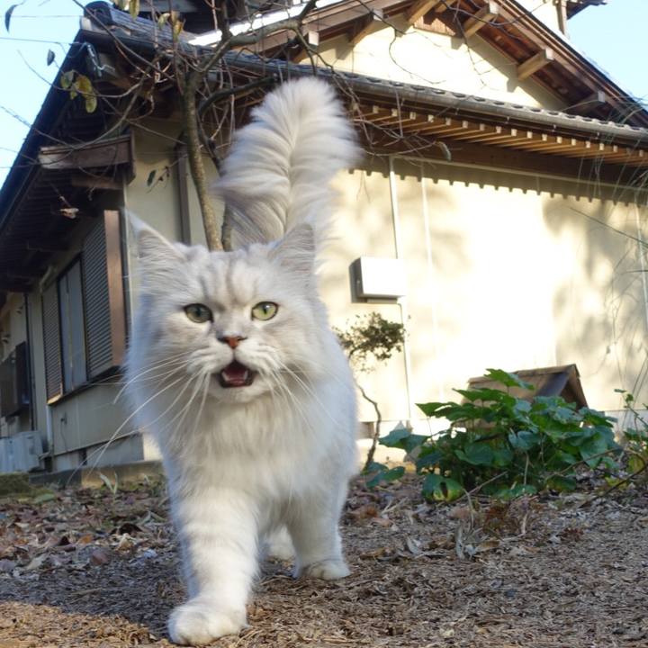 Cc503836 4ed4 4d46 a15e b3ae7734033c