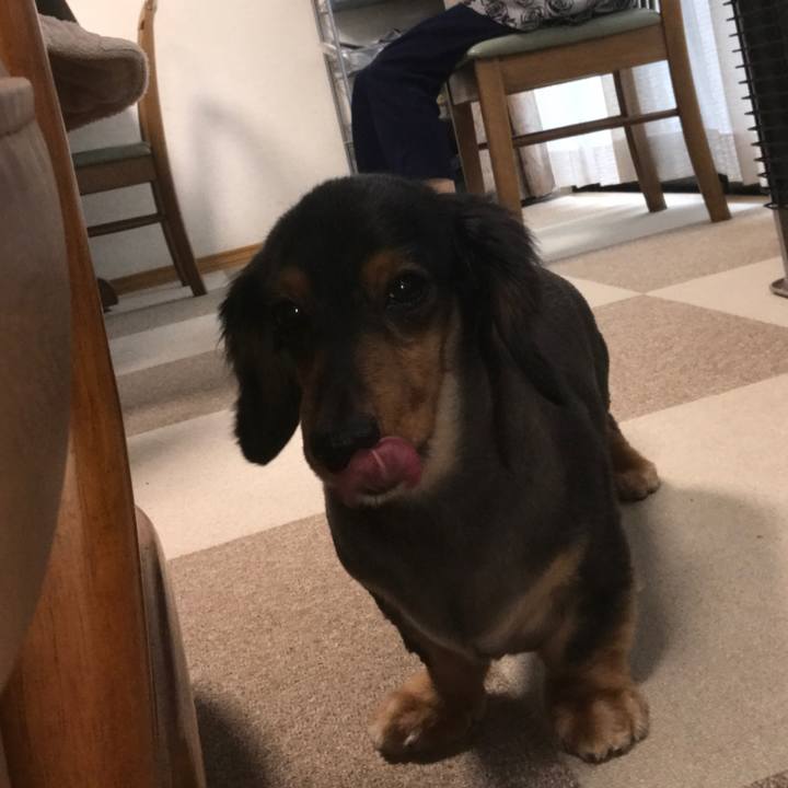 Cc5055cc a2da 42cc ac0c e4688b1fb855