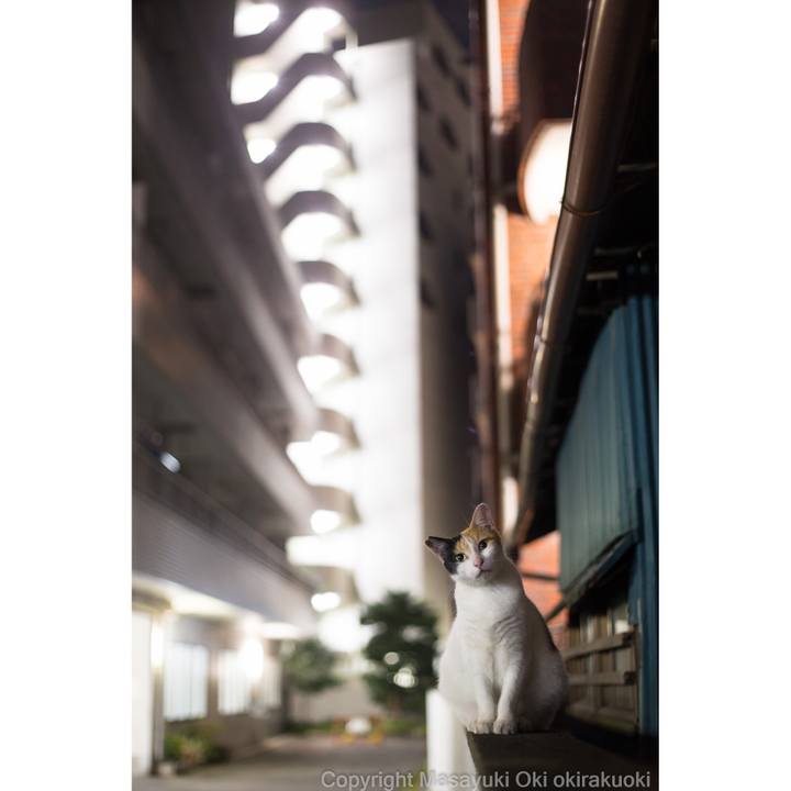 Cc5086e6 dc18 4ff8 aaea 8734d9f3dad5