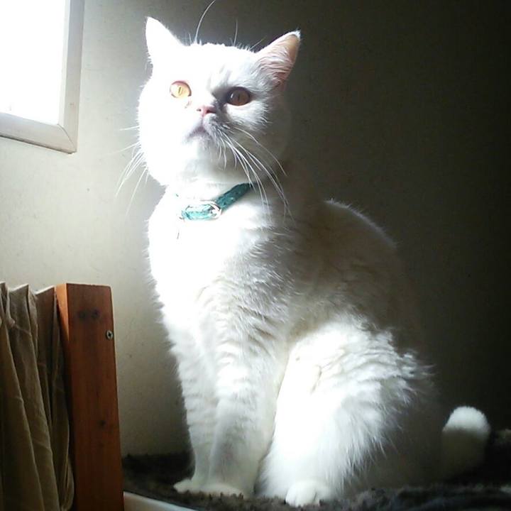 Cc50de91 952b 4862 ba5b 55c18fc4d55a