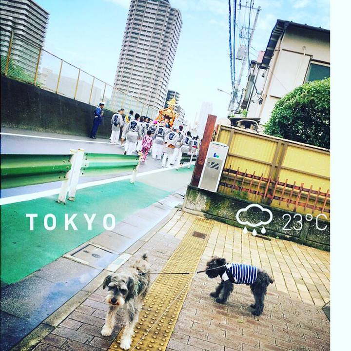 Cc50ecd1 2500 42e6 9e78 3ce7ff6d45e5