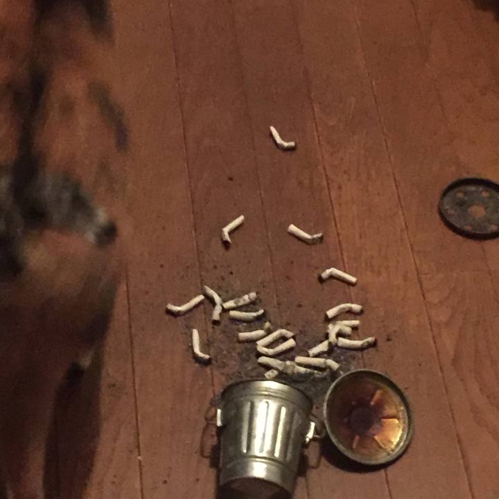 Cc50f724 9b0d 415d a025 5208ad36cb1d