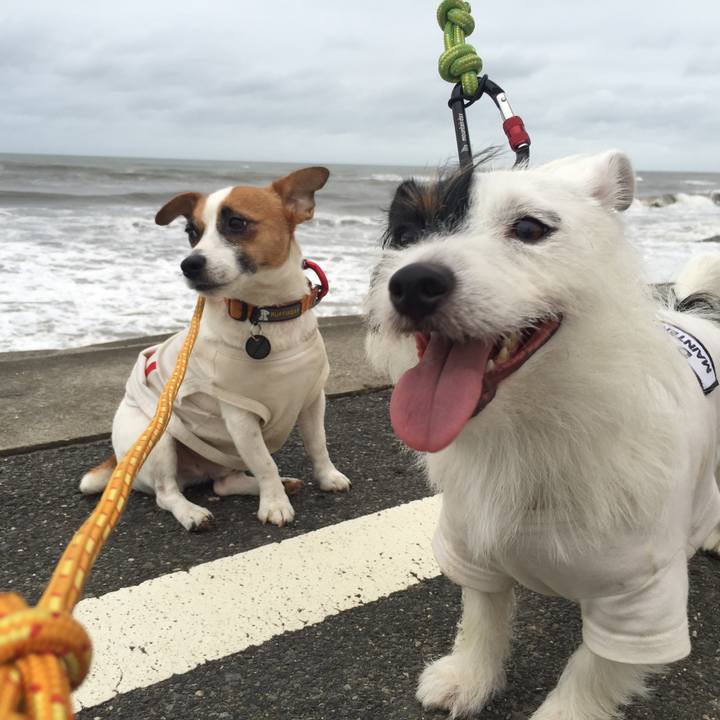 Cc513578 e84c 4167 8fc2 9ae693602f7a