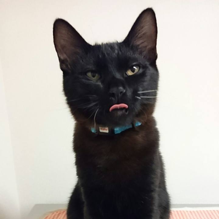 Cc5172e6 9aa4 49d0 b2ee 138107f628de