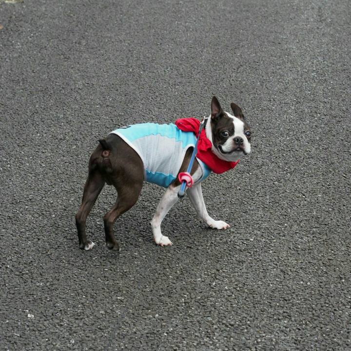 Cc525aae 1fe8 442e b8ba a0dba8100a83