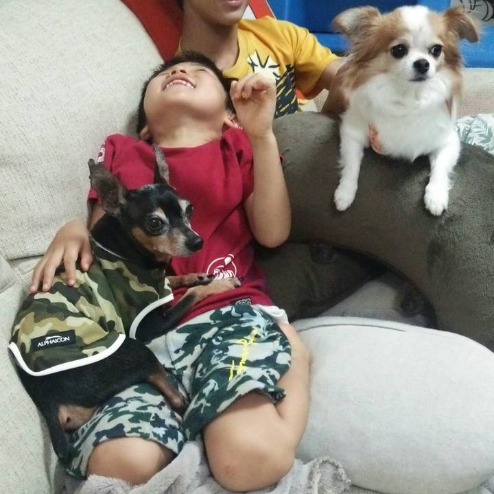 Cc5313e4 987e 4674 acef 75cd01bdfc8b