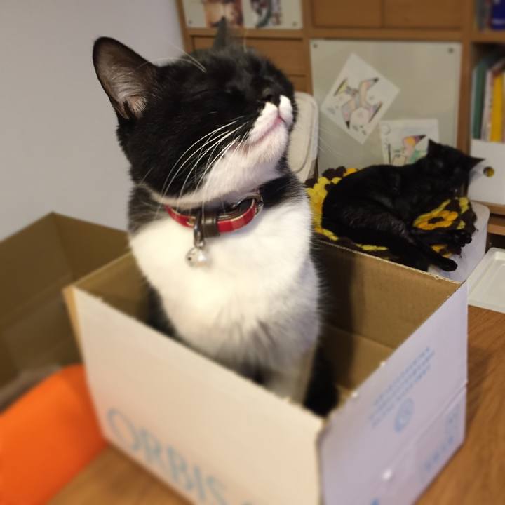 Cc538b9b 2e9d 41f7 b654 f51395a49d7c