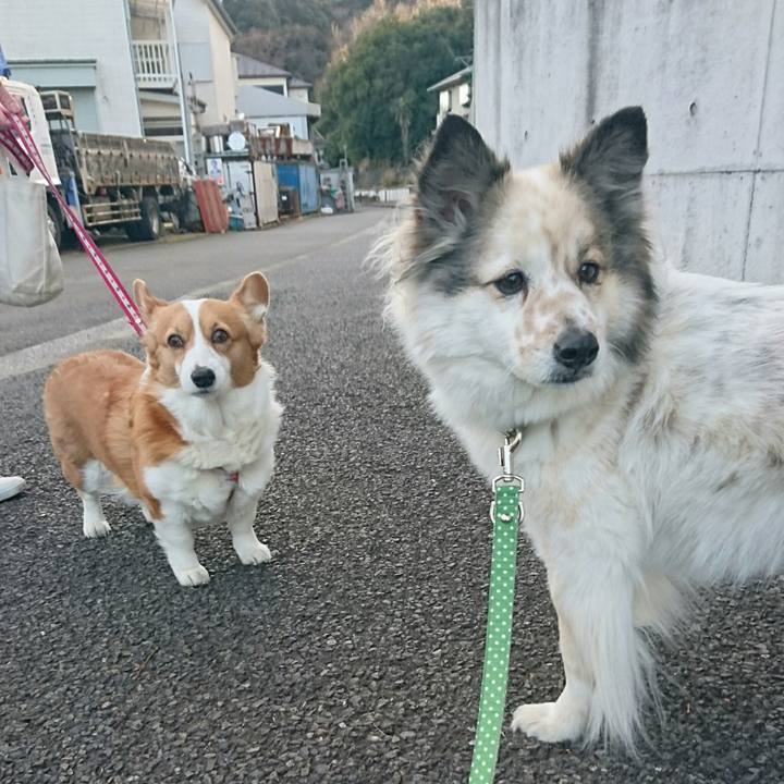 Cc53d72e 260d 4585 84ea 43847e2de02e