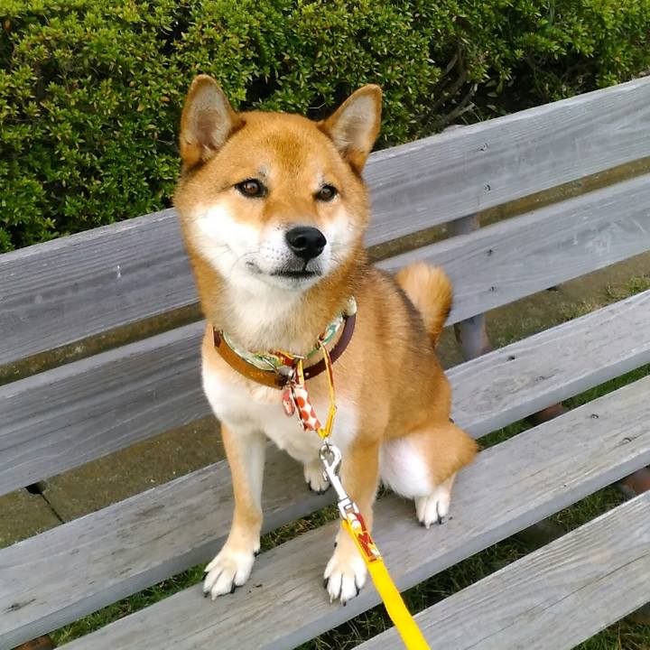 Cc54434f 02a1 4efd 8f68 81c43132f381