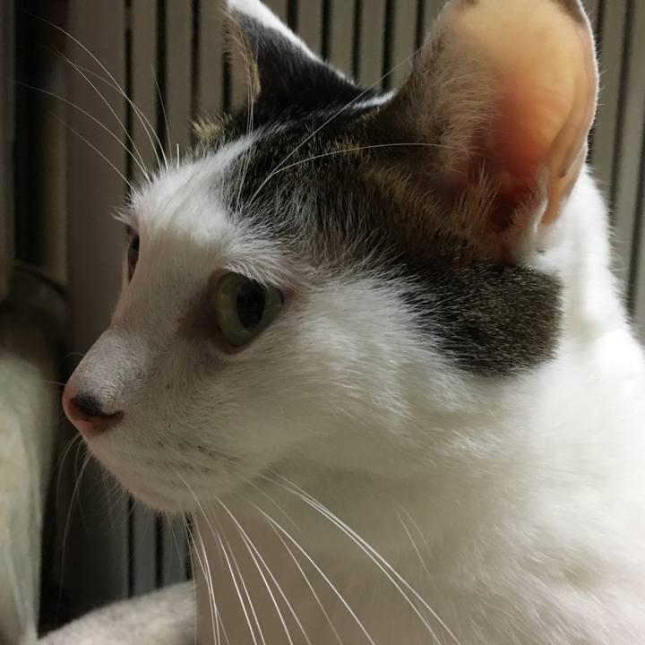 Cc5487ff 98ed 4df9 b0a2 86f9ffd0613e