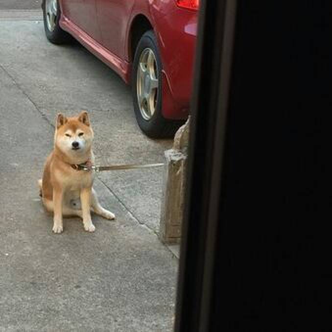 Cc54aafe b804 4364 913b dd43ea760b16