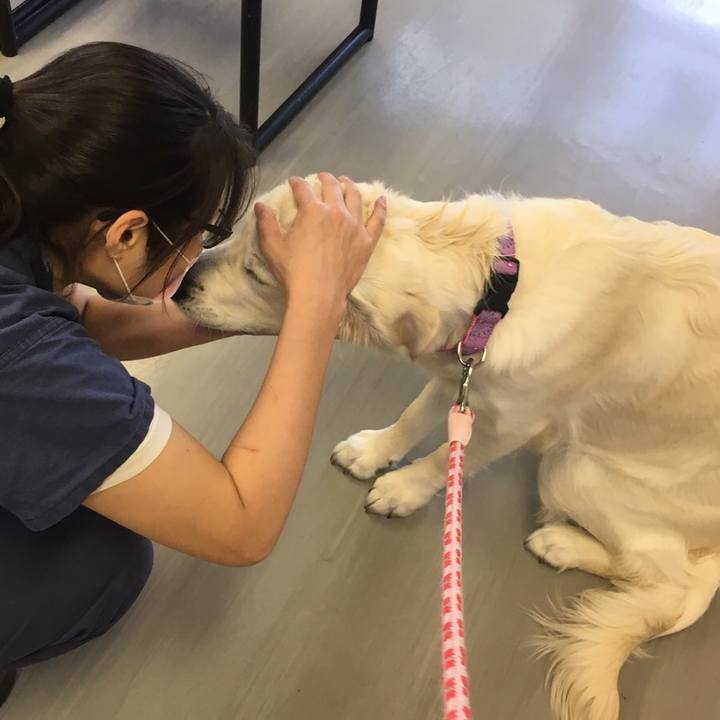 Cc54cf2f f98c 4dc3 bef2 39d99944e379