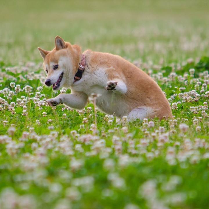 Cc55e6fe b18f 4b06 8597 56bc39e586cf