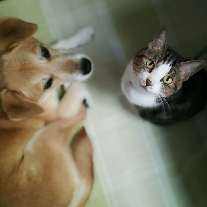 Cc561194 5367 4695 82e9 bc0e34ac5c47