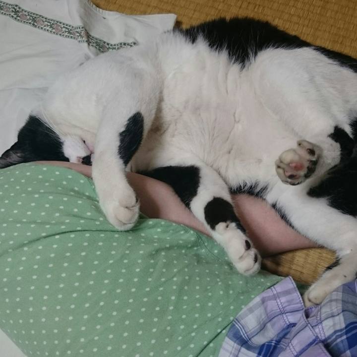 Cc563a78 6345 4e1b 94c7 ae0e9f66ba41