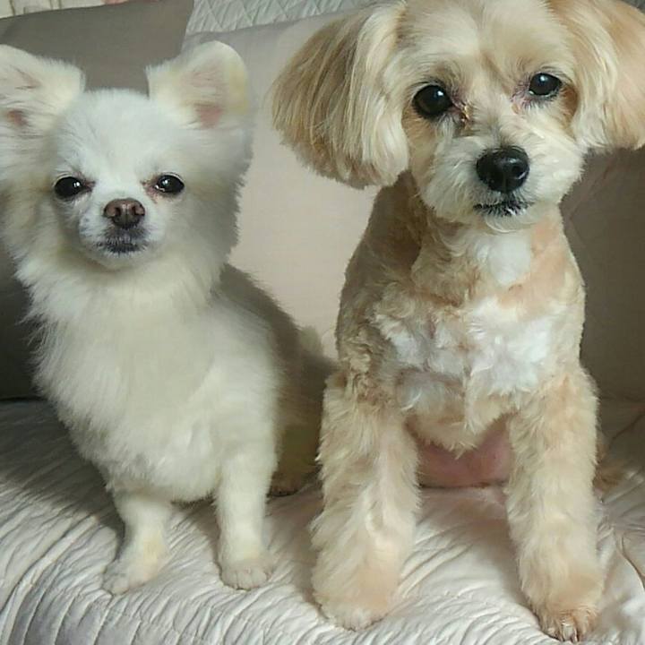 Cc57fa99 418a 4bf7 a310 839399975328