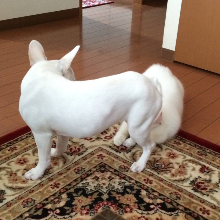 Cc586048 b5d1 48ba a969 80c6a282b54e