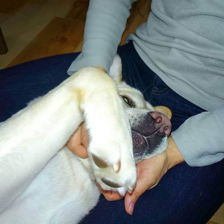 Cc58c460 4eee 4155 a69d bb2d0cb1db28