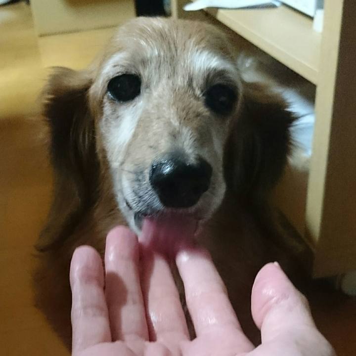 Cc58df8c f37f 41c2 8e78 64dda91b93e1