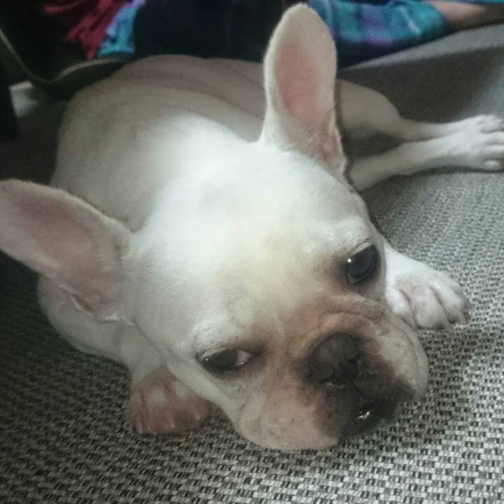 Cc58f428 9ca5 48c5 ba1a 1cae63380c6c