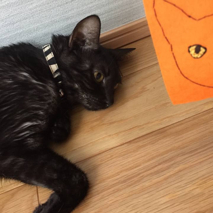 Cc5908a7 f62c 4142 85d8 84d6ea3fa820