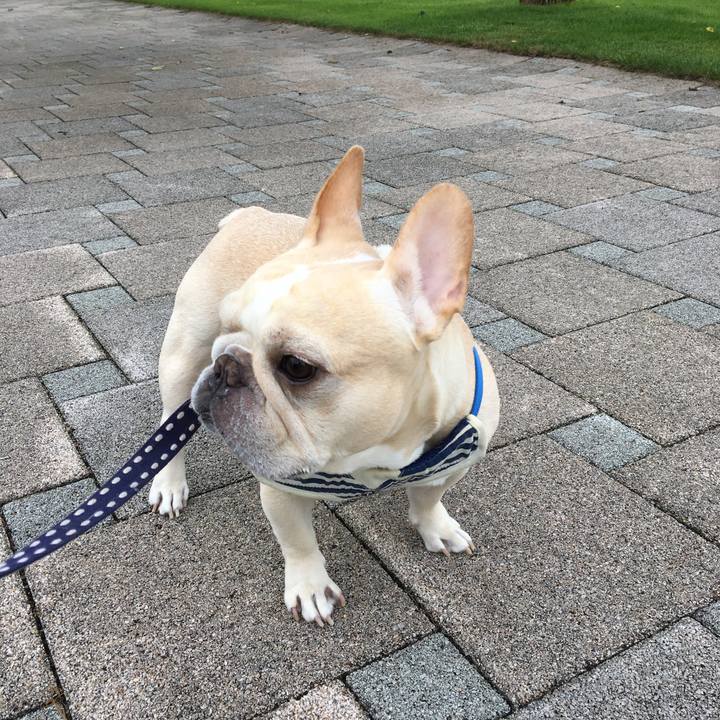 Cc5931f2 74dd 4290 a3ba 68206b5b95e6