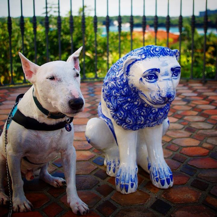 Cc59b845 44e6 4735 a2e2 49e84e56e9a6