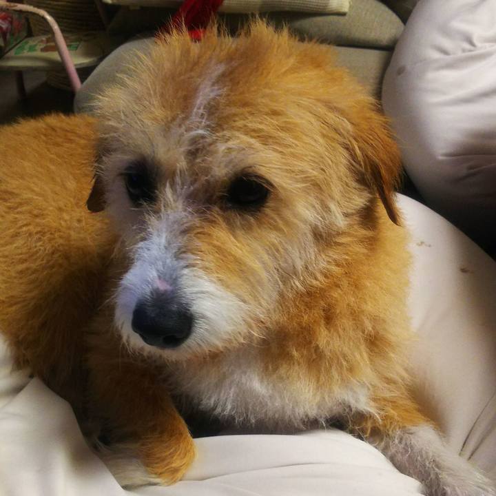 Cc59b906 01ad 4fa4 91a5 72da100a521a