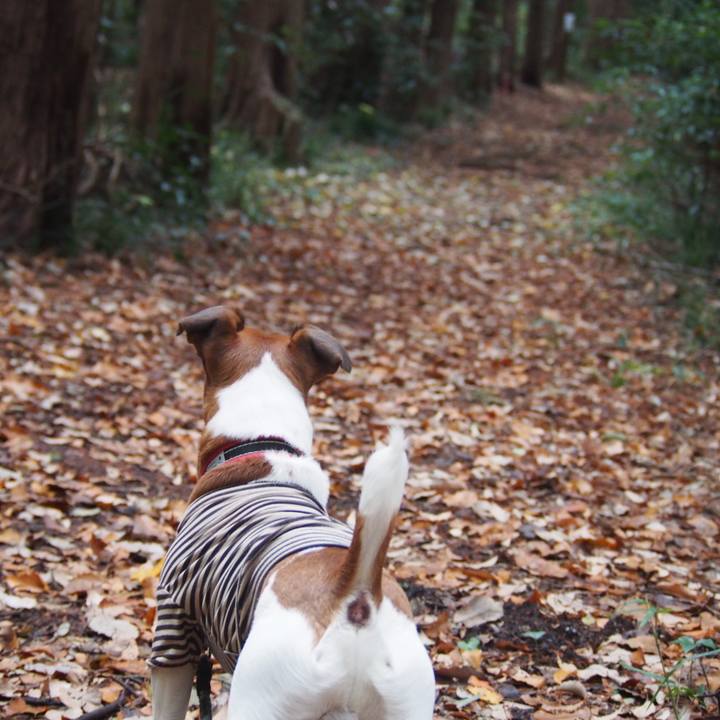 Cc5a1185 f757 4d59 a676 1afc8a69f9f7