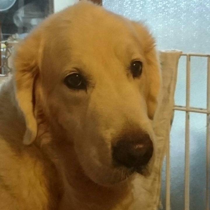 Cc5a19da d1a2 45e7 aeed 4d039d66a368