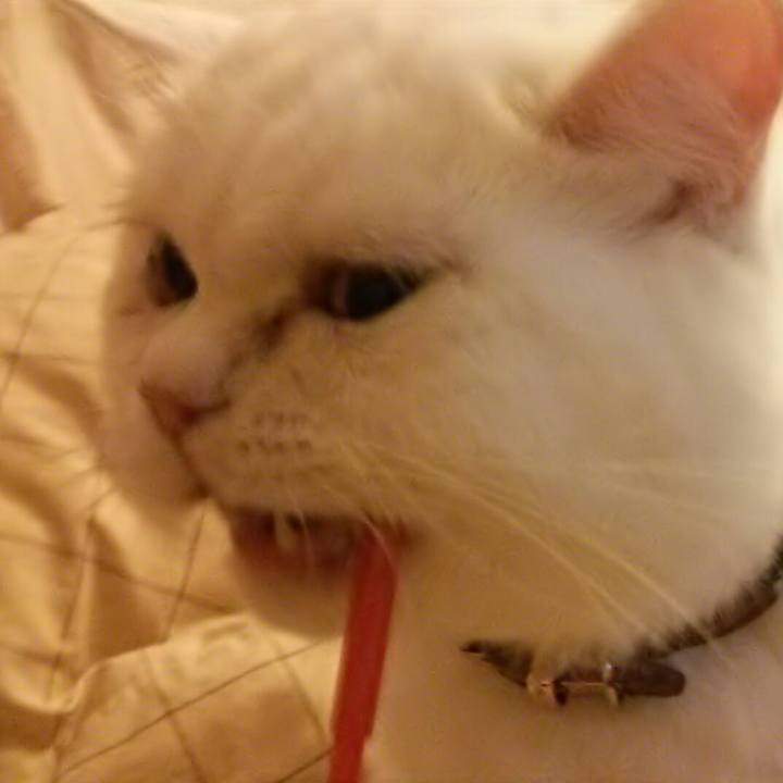 Cc5a41dd cb02 4a61 9df0 f3d7f009660d