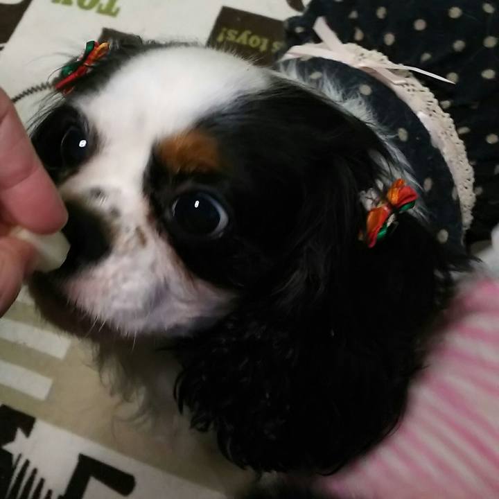 Cc5b0234 54bb 44b9 b221 a85e8d19d77d