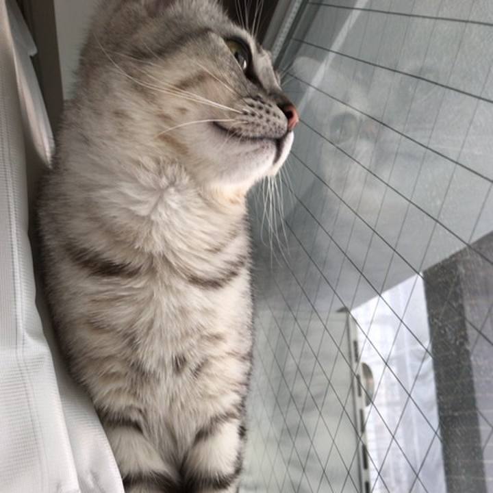 Cc5b57df 0b08 4ea2 8d66 68f8e448453e