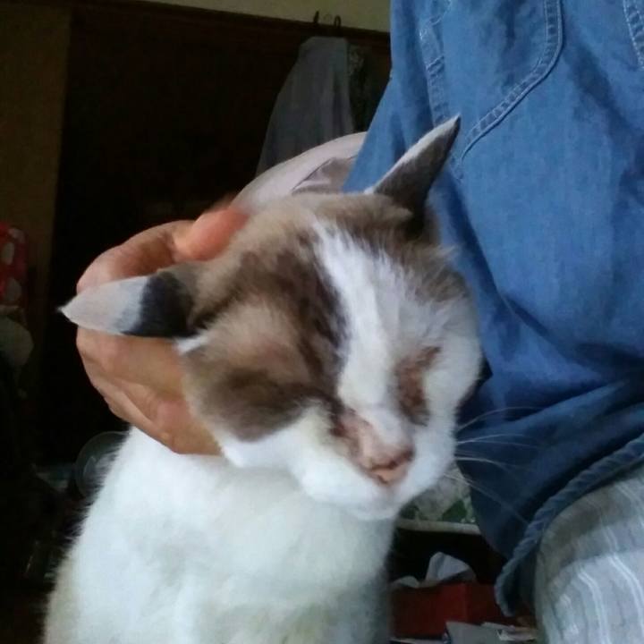 Cc5ba004 0552 4e3c 843d ee9e13536d3c