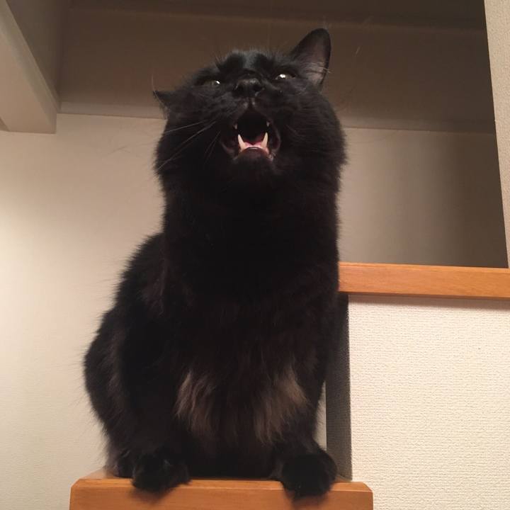 Cc5ce9b7 e669 4000 a279 c40c249c25b3