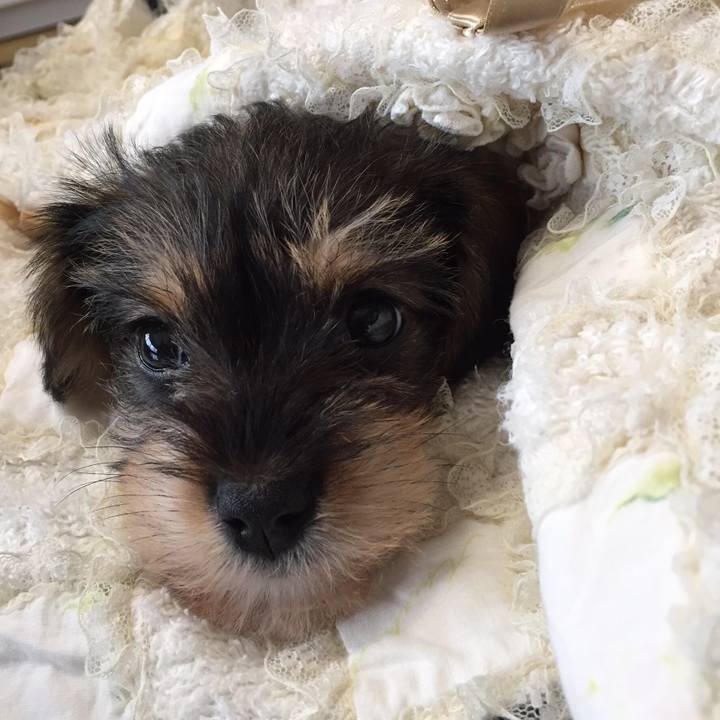 Cc5e27c7 8112 4dc3 bf3f cb2b0ae9fee7