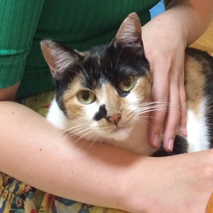 Cc5e2989 3607 4ea6 a925 715f6c569785