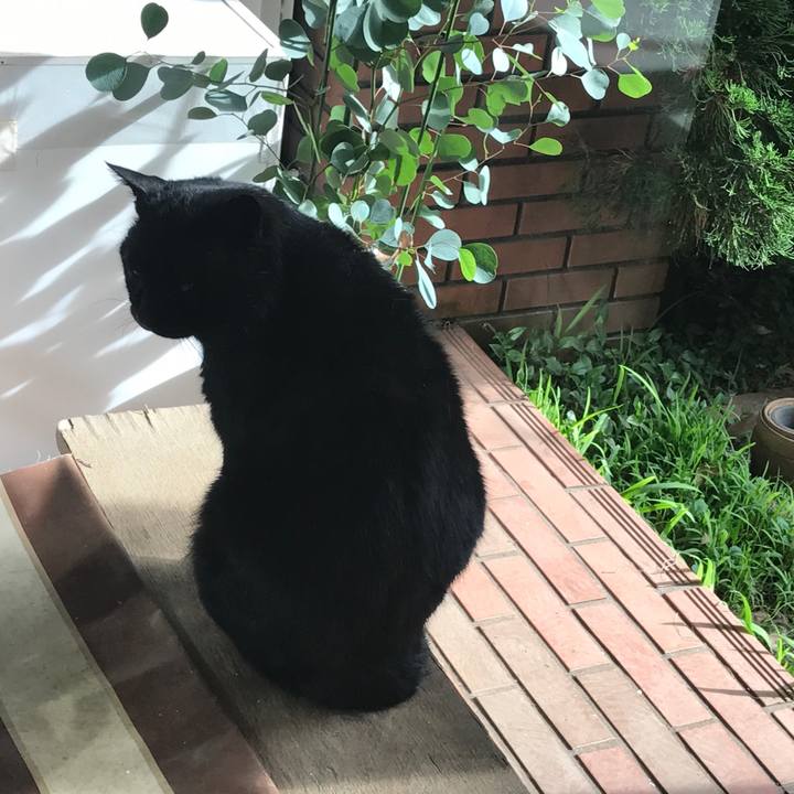 Cc5e45f6 b7b9 4136 86e6 70790ce00af7