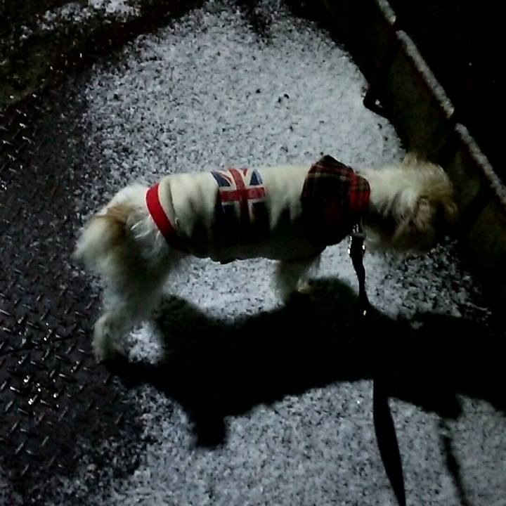 Cc5e939f 0b7f 458c b5ee 90a98a088bbc