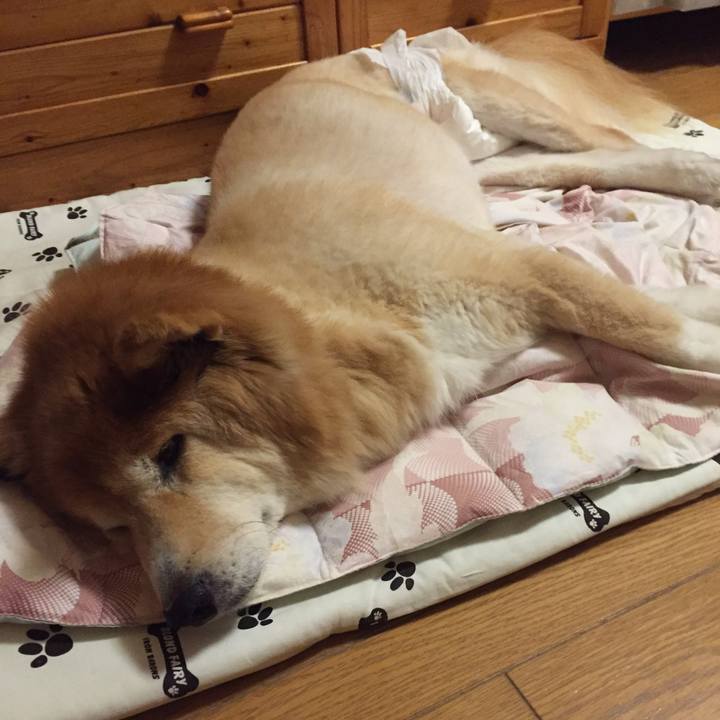 Cc5ee2c9 ab38 4d96 b105 f5c55f84d109