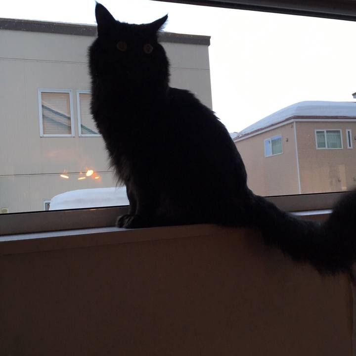 Cc5eefab e3e1 4113 a15f 7d5372d49751