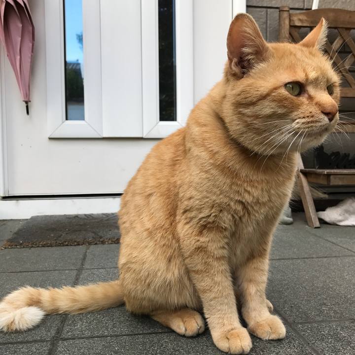 Cc5f8228 2153 4d0c a2df cbba876c9e8f