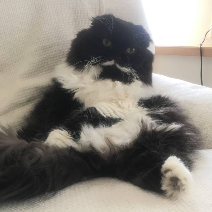 Cc5fd6d1 1456 4c5a a723 656f0317a41a