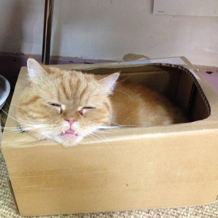 Cc60384b ea90 49fc 9231 f63d4d6b4a56