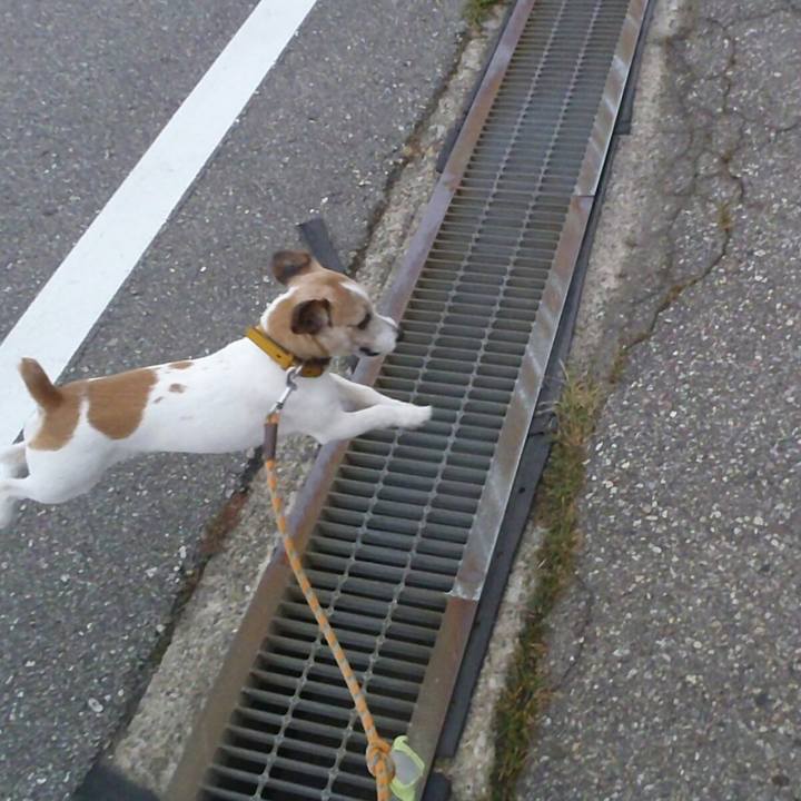 Cc60dc4c 364d 4039 ac8b daf302c65f7c