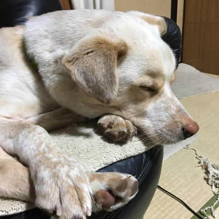 Cc611337 0d7b 4e58 9971 f5e4fe01cc57