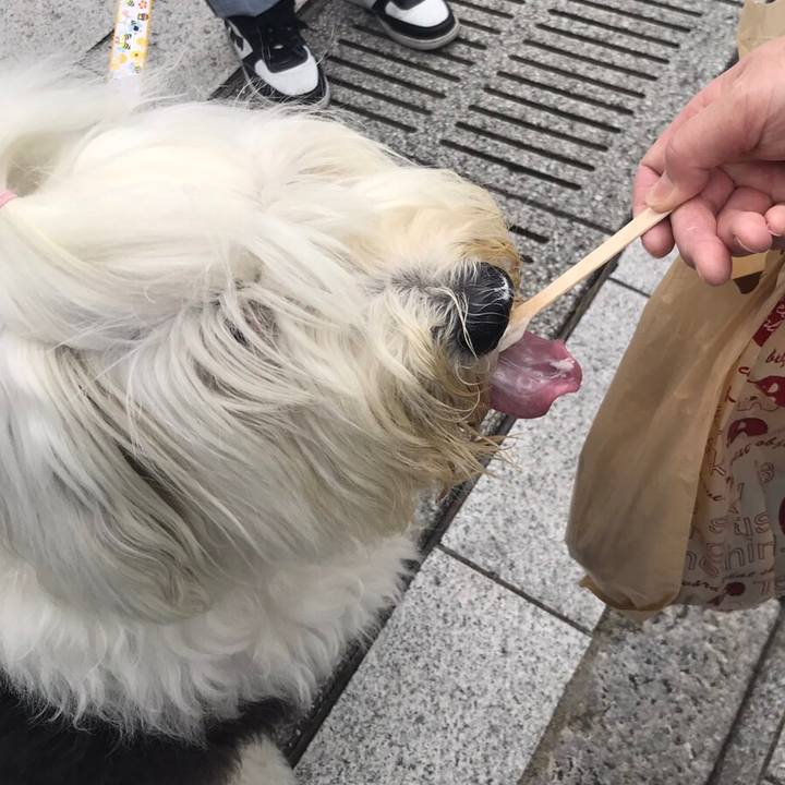 Cc61320a e8a4 48e4 82f4 4977e9f46837