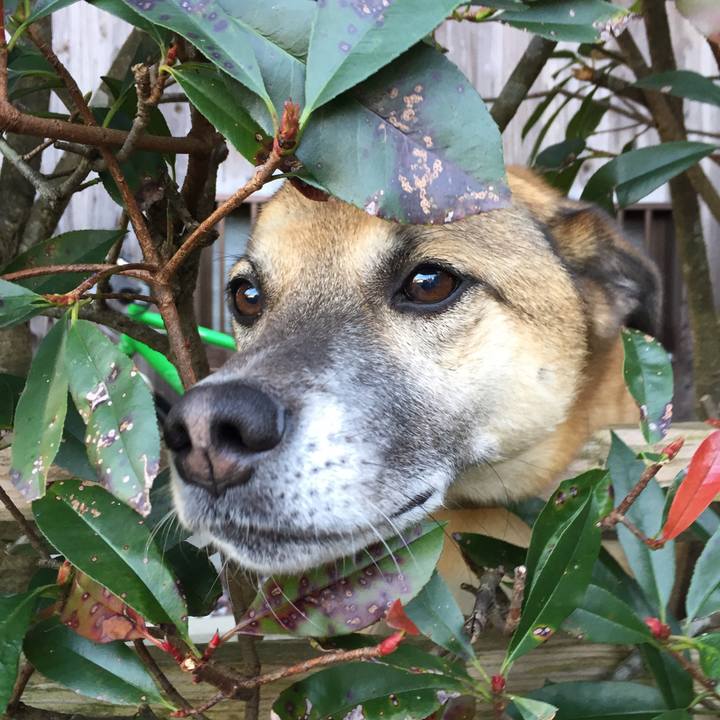 Cc616107 a5b3 4ac5 8bdf fc8a674464c2