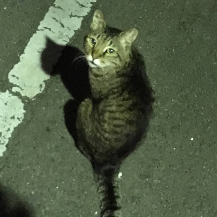 Cc6188e3 a4c1 4c65 9d26 a7db3729faaa